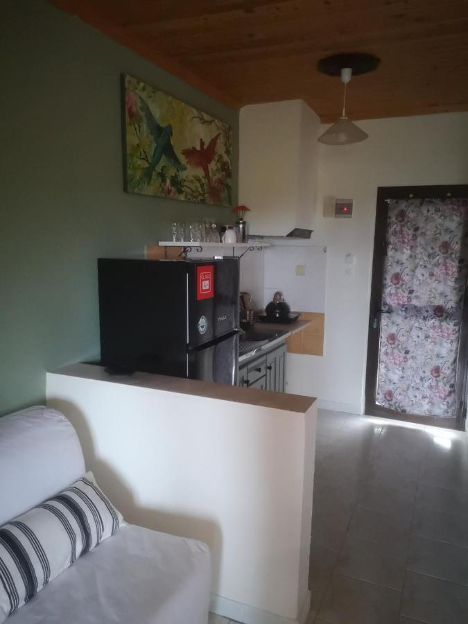 Achillion B&B Paralia Skotinis Exterior photo